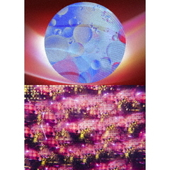 THE YELLOW MONKEY／THE YELLOW MONKEY TOUR2024/25 Sparkleの惑星X(-BLOCK3-)（特典なし）（ＤＶＤ）