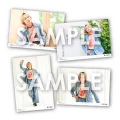 WEオフィシャルブロマイドセット～2025年11月～／新木宏典