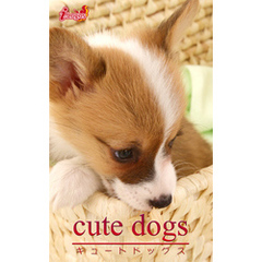 cute dogs33 ウェルシュ・コーギー