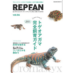 REPFAN vol.6