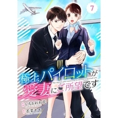 comic Berry’s極上パイロットが愛妻にご所望です7巻