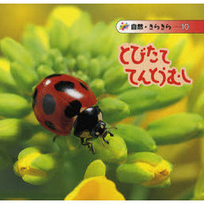 とびたて　てんとうむし