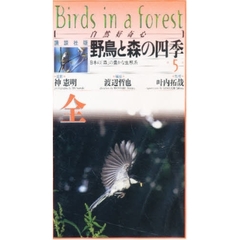 ビデオ　野鳥と森の四季　　　第５巻　森の