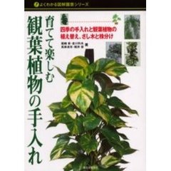 育てて楽しむ観葉植物の手入れ