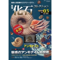 月刊化石コレクション　　　３　アンモナイト