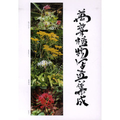 萬葉植物写真集成