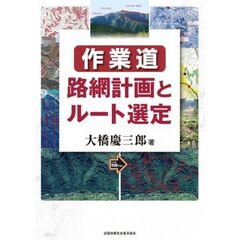 作業　道路網計画とルート選定