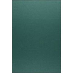 大日本近世史料　〔１３－１１〕　廣橋兼胤公武御用日記　１１