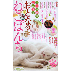 おとなのねこぱんち　　１３