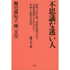 不思議な迷い人　無の遺伝子、神、天皇　何故、日本が唯一、非欧米諸国の中で主要先進国になれたのか？革命と伝統の弁証法