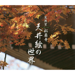 鬼無里松巌寺　天井絵の世界