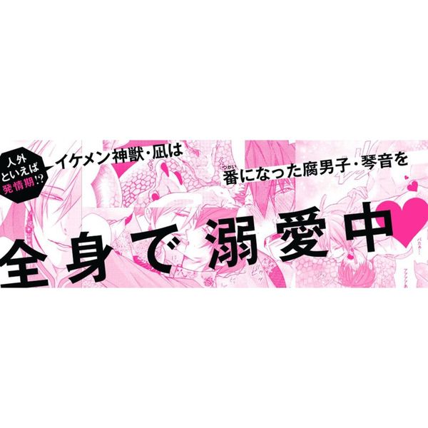 腐男子召喚 異世界で神獣にハメられました ２ 通販｜セブンネット