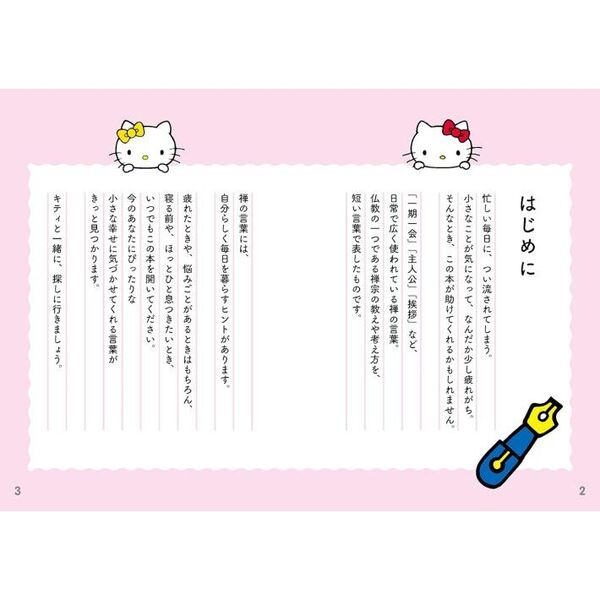 何に使うのか分からないハローキティのよくわからんやつ （ハロー 