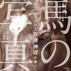 見ているだけで自律神経が整う馬の写真