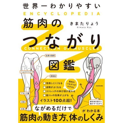 世界一わかりやすい筋肉のつながり図鑑 通販｜セブンネットショッピング