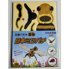 立体パズル昆虫　日本ミツバチ
