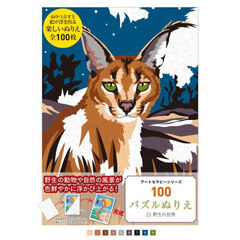 １００パズルぬりえ　１３