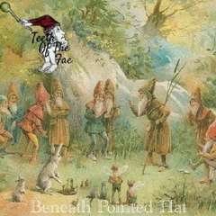 ビニース・ポインテッド・ハット