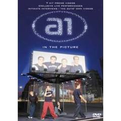 a1／イン・ザ・ピクチャー（ＤＶＤ）