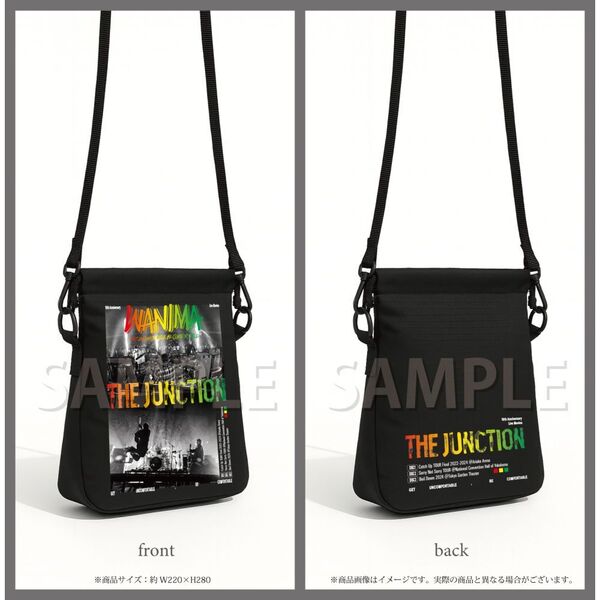 WANIMA／WANIMA 10th Anniversary Live Movies THE JUNCTION DVD