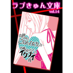 お姉ちゃん、ごめんなさい…お義兄さんとのイケナイ夜