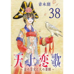 天上恋歌～金の皇女と火の薬師～【分冊版】　38