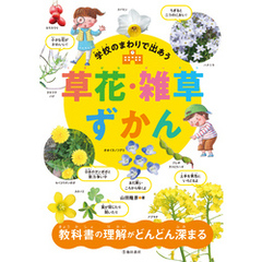 学校のまわりで出あう 草花・雑草ずかん（池田書店）