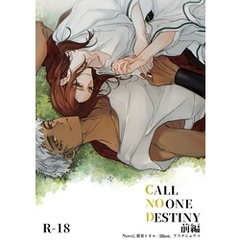 CALL NO ONE DESTINY　前編