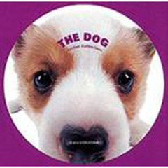ＤＶＤ　ＴＨＥ　ＤＯＧ　ウェルシュコーギ