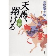 天馬、翔ける　上巻