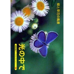 光の中で－蝶と草花の風景　Ａ　Ｓｏｕｖｅ