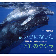 まいごになった子どものクジラ　南太平洋トンガ王国のザトウクジラ