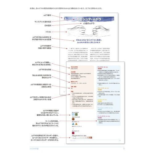 ムドラ全書 108種類のムドラの意味・効能・実践手順 通販｜セブン