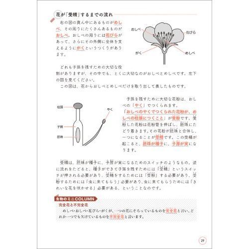 中学受験「だから、そうなのか！」とガツンとわかる合格する理科の授業 