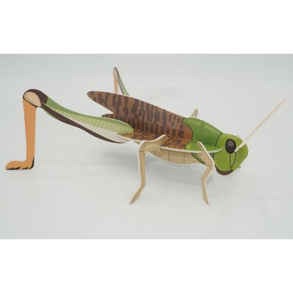 立体パズル昆虫 トノサマバッタ 通販｜セブンネットショッピング