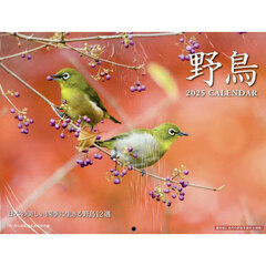 ’２５　野鳥カレンダー