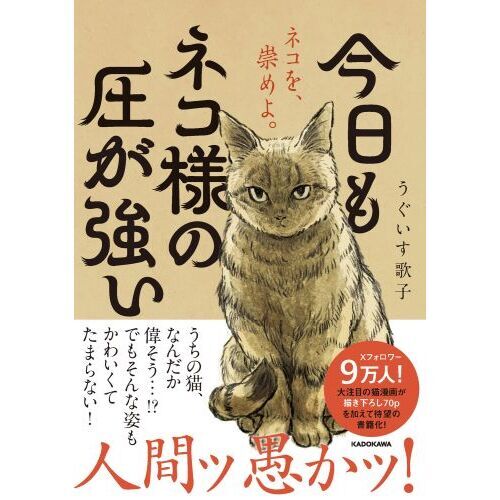 今日もネコ様の圧が強い 通販｜セブンネットショッピング