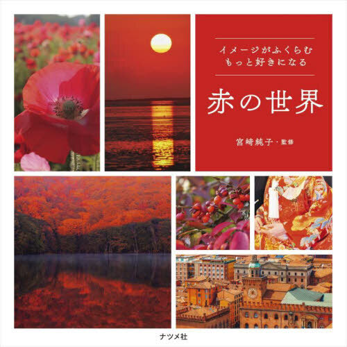 ֥ͥåȥåԥ󥰤㤨֥᡼դäȹˤʤ֤פβǤʤ1,870ߤˤʤޤ