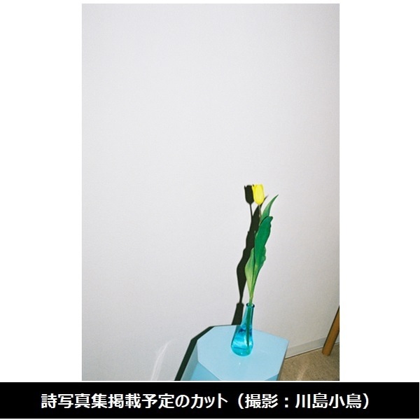 【タイムセール実施中】AquaTimez ポエトリーパネル 太志 Aqua Timez 太志 詩写真集 同じ窓から見た違う月【セブンネット