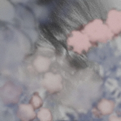 breeze