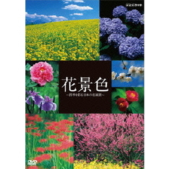 花景色 ～四季を彩る 日本の名風景～（ＤＶＤ）