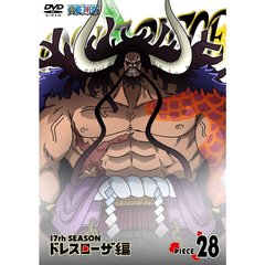 アニメ ONE PIECE ワンピース 17THシーズン ドレスローザ編 piece.28