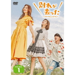 別れが去った ～マイ・プレシャス・ワン～ DVD-BOX 1（ＤＶＤ）
