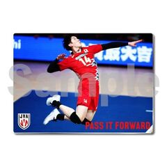 【バレーボール男子日本代表】メタルディスプレイ  ドイツ戦 06