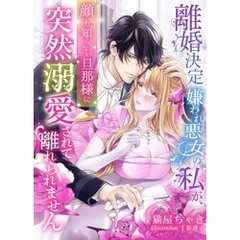 離婚決定嫌われ悪女の私が、顔も知らない旦那様に突然溺愛されて離れられません