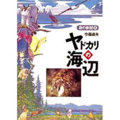 ヤドカリの海辺