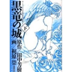 コミックISBN-10黒竜の城 上巻/講談社/梶原崇