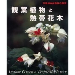 観葉植物と熱帯花木