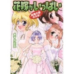 花嫁がいっぱい　総理大臣のえる！