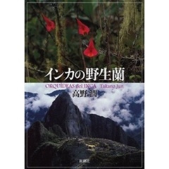 インカの野生蘭